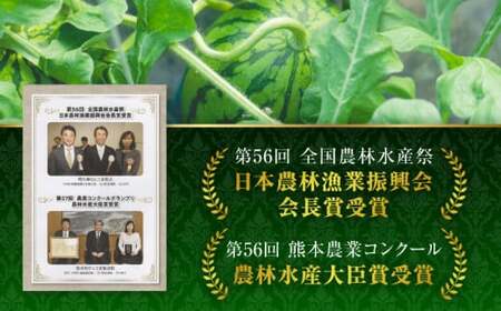 【先行予約】黒小玉 スイカ と アールスメロン セット 【株式会社 前田ファーム】西瓜 すいか 熊本 九州産 国産 熊本県産 贅沢 [ZCM003]