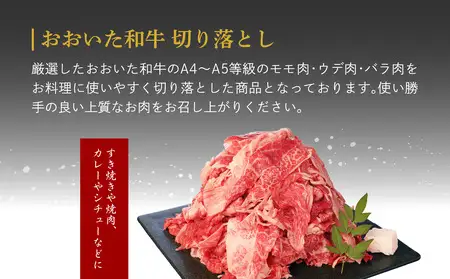 厳選A4～A5等級 おおいた和牛 ミスジステーキ用・ミスジ焼き肉用・切り落としセット 合計1.8kg A01122