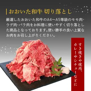 厳選A4～A5等級 おおいた和牛 1ポンドブロック・切り落としセット 合計約1.9kg A01127