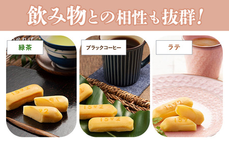 濃厚生チーズケーキ 1592 ヒゴクニ 16個入り 古今堂 《30日以内に出荷予定(土日祝除く)》 熊本県 南阿蘇村 チーズケーキ チーズ ひごくに お菓子 スイーツ