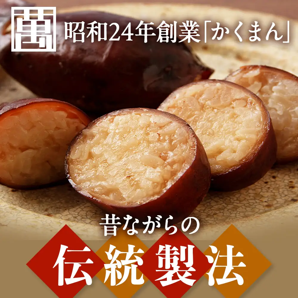 IKAｰMESHI 2個入5袋 いかめし