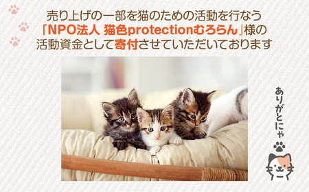【長持ちする猫の爪とぎ】ズットモーツ 5個セット MROJ003
