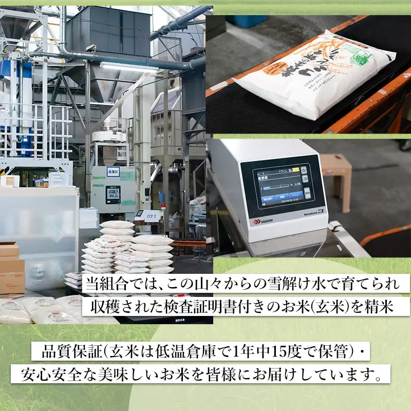 【3回定期便】【令和7年産】 雪若丸10kg (5kg×2)×3回 山形県庄内産　鶴岡米穀商業協同組合