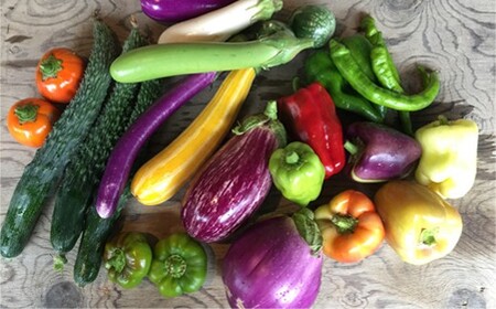 【定期便4回】ひばり農園 の 無農薬  ワクワク  野菜セット 【1241】