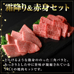 【B01036】鹿児島黒牛 霜降り＆赤身焼肉セット(計約800g・各400g×2種) 牛肉専門店自慢のお肉 鹿児島 国産 九州産 牛肉 黒牛 鹿児島黒牛 A4 A5 等級 三角バラ クリミ 焼肉 やきにく バラエティ セット ギフト 贈答【新村畜産】