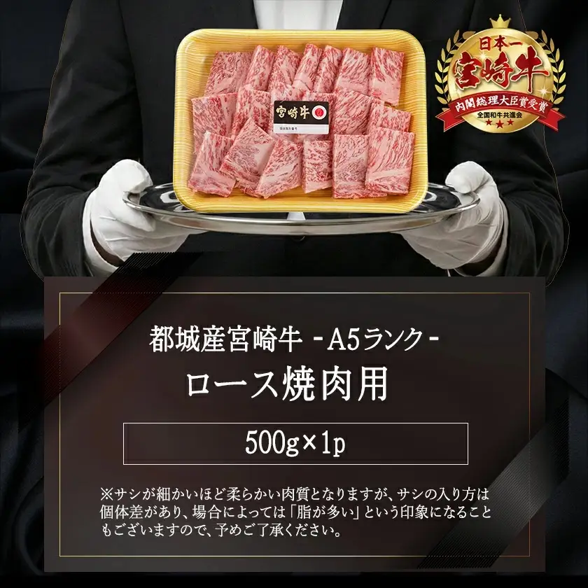 宮崎牛(A5)ロース焼肉用500g_AD-0114_(都城市) 牛肉 最高級A5ランク 5等級 都城産 ブランド牛 ロース肉 焼肉用