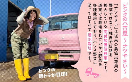 【先行受付】R8年産 トウモロコシ（ゴールドラッシュ） 5本から6本 ピンクの八百屋 ナツやさい | とうもろこし トウモロコシ ゴールドラッシュ 旬 新鮮 野菜 夏 甘い 産地直送 北海道 津別町 送料無料 