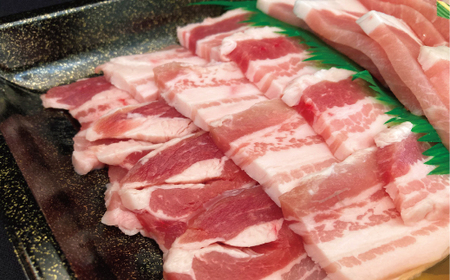焼肉セット 常陸牛360g・ローズポーク400g 銘柄牛 きめ細い 柔らかい 豊かな風味 黒毛和牛 A4ランク A5ランク ブランド牛 ブランド豚 銘柄豚 茨城 国産 黒毛和牛 霜降り 牛肉 冷凍 誕生日 お中元 贈り物 お祝い 焼肉 茨城県共通返礼品