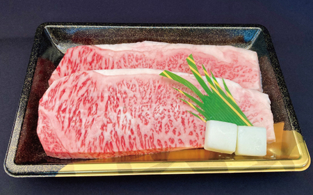 ステーキ焼肉セット 常陸牛ステーキ200g 常陸牛 牛脂付 ローズポーク焼肉用200g 茨城県共通返礼品 サーロインステーキ 焼肉 黒毛和牛 牛肉 豚肉 霜降り ブランド牛 ブランド豚 国産牛 ブランド豚 銘柄豚 冷凍