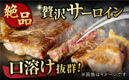 【12回定期便】佐賀牛 ヒレステーキ＆サーロインステーキ 食べ比べ セット 計9.6kg  (ヒレ150g・サーロイン250g×各2枚×12回) 吉野ヶ里町 佐賀牛 ヒレ サーロイン ステーキ 牛肉 肉 ブランド牛 [FDB038]