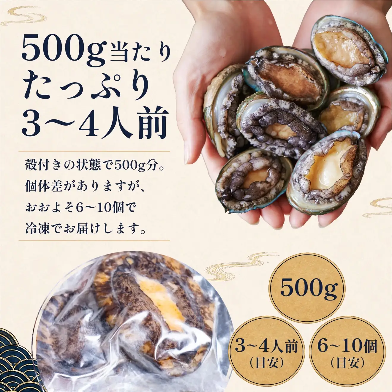 蝦夷あわび 天然 利尻島産 500g（冷凍）｜アワビ 北海道 産地直送 海鮮 刺身 天然 鮑 生食 蝦夷鮑 [1060004]