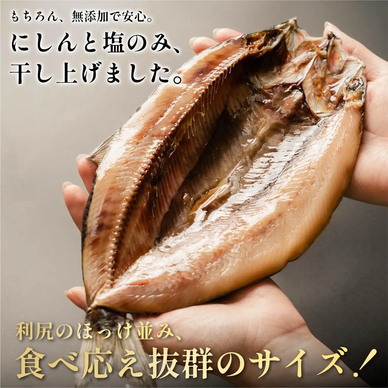 干物 ニシン 開き 5枚 | トロにしん 北海道 利尻産 無添加 国産 干物 脂のり抜群 開き 干し ニシン 肉厚 冷凍 ギフト 焼き魚 1２000円 1万円台[1060008]
