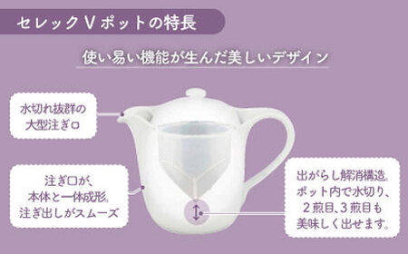 【美濃焼】セレック Vポット 390ml（新 ラベンダー）【山加商店】C-SV-2 食器 茶器 急須 ティーポット お茶 緑茶 ティータイム 花柄 ホワイト シンプル おしゃれ レンジ対応 食洗機対応 送料無料 [MEB026]