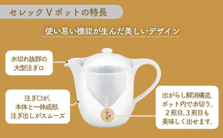 【美濃焼】セレック Vポット 390ml（新 カモミール）【山加商店】C-SV-2 食器 茶器 急須 ティーポット お茶 緑茶 ティータイム 花柄 ホワイト シンプル おしゃれ レンジ対応 食洗機対応 送料無料 [MEB028]