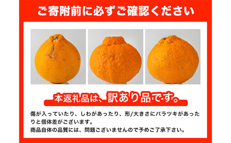 みかん訳あり 不知火 約5kg 20玉前後《4月上旬-4月末頃出荷》フルーツ みかん ミカン 柑橘 しらぬい