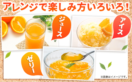 不知火 先行予約 贈答用 16玉 約5kg 未来来農園《4月上旬-4月末頃出荷》でこぽん フルーツ 果物 みかん ミカン 柑橘 しらぬい