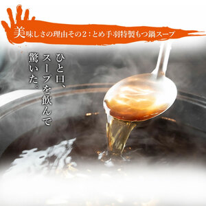 【ふるさと納税】博多 もつ鍋 セット 味噌味 2-3人前 [a9206] 株式会社フェリックス ※配送不可：離島【返礼品】添田町 ふるさと納税