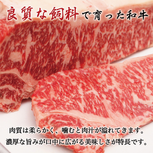 【ふるさと納税】博多和牛 A5～A4 切り落とし 500g 化粧箱入 [a9237] 株式会社マル五 ※配送不可：離島【返礼品】添田町 ふるさと納税