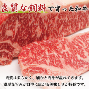 博多和牛 牛すじ 約1kg [a9234]  牛すじ | 黒毛和牛