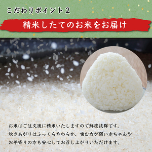 【ふるさと納税】令和6年産 福岡県産夢つくし無洗米5kg(5kg×1) [a7193] 株式会社 藤食糧 【返礼品】添田町 ふるさと納税