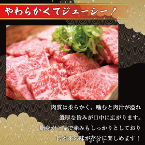 【ふるさと納税】博多和牛焼肉用 500g [a9080] 株式会社Meat Plus ※配送不可：離島【返礼品】添田町 ふるさと納税