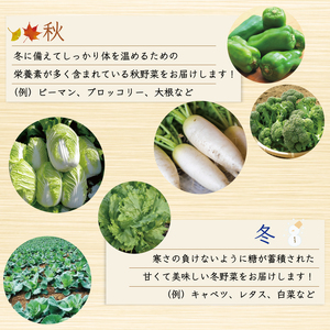 【ふるさと納税】中元寺 旬の実り 野菜 セット(旬の野菜 7～9種類程度) [a9010] 中元寺みらい農業株式会社 ※配送不可：北海道・東北・沖縄・離島【返礼品】添田町 ふるさと納税