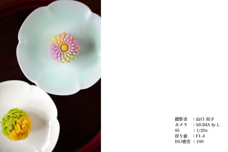 SIGMA 50mm F1.4 DG DN | Art 【Lマウント】