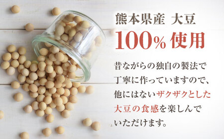 元祖！『ご汁の素』10袋セット 【熊本県産大豆使用】【株式会社 れんげ・カンパニー】[ZAX001]