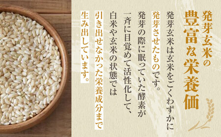 〈令和7年度産米〉 【金賞受賞米使用】くまもとの元気！発芽玄米 2kg×2袋【株式会社 れんげ・カンパニー】発芽玄米 有機栽培 真空パック 熊本 令和7年産 [ZAX003]