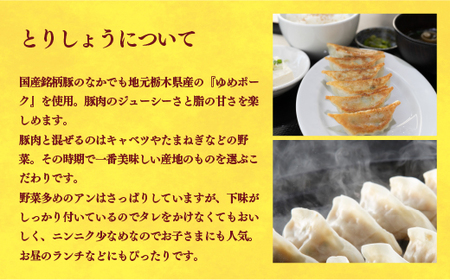 【とりしょう】餃子　24個入り×2箱【 ぎょうざ 冷凍餃子 冷凍食品 惣菜 栃木県 宇都宮市 】 ※着日指定不可 ※北海道・沖縄・離島への配送不可