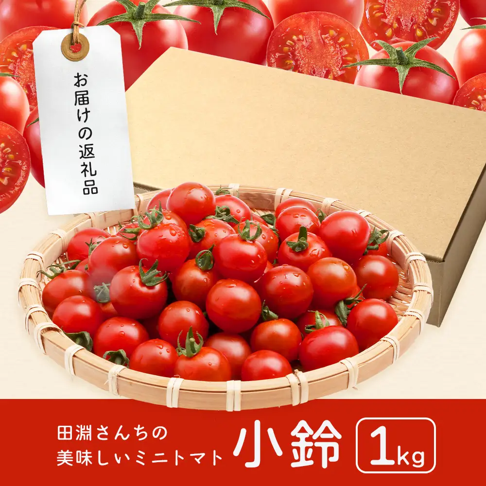 田淵さんちの美味しい ミニトマト 小鈴（約1kg）GP-708｜野菜 トマト ミニトマト 産地直送 ミニトマト 新鮮 トマト 南大隅町産 ミニトマト おいしい ミニトマト