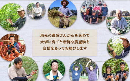 【3ヶ月定期便】農産直売所あぜみち 新鮮野菜 詰め合わせ ※着日指定不可