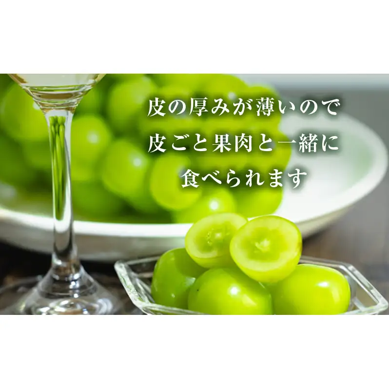【2026年 先行予約】【訳あり品】シャインマスカット 2房 合計約1kg 冷蔵配送 ぶどう 葡萄 フルーツ 果物 岡山 岡山のぶどう 岡山の果物 食後 デザート 産地直送 大粒 皮ごと 種無し 