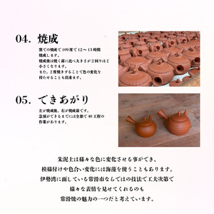 常滑焼急須　黒泥　線段 陶器 やきもの 焼き物 手作り 伝統工芸品 工芸品 茶器 茶道具 急須 常滑焼 日本六古窯 キッチン用品 日用品 食器 雑貨 ティーポット 日本茶 緑茶 日本製 愛知県 常滑市