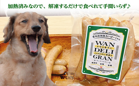 大切な愛犬に　こだわりのご褒美を～犬ごはん詰め合わせギフト～ 無添加 無塩 無糖 ウインナー ローストレバー ドライハート 喉軟骨 そぼろドッグフード 犬用食品 犬のおやつ 犬用おやつ 国産 あいぽーく 豚肉 愛犬 わんちゃん ペット用 ドッグフード プレゼント 犬用飼育グッズ 愛知県 常滑市