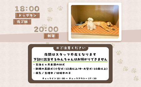 【海を一望できるドッグラン 利用チケット】ホテル スタンダード1泊2日 犬 ペット ペットホテル 犬用ホテル 小型犬 中型犬 dog わんちゃん 愛犬 イヌ 宿泊 ドッグラン 常滑市 空港に近い 飼い主 体験チケット 1頭 1泊 愛知県 常滑市