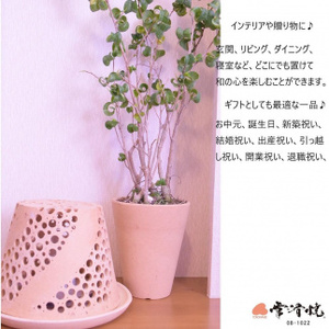 陶華光ランプシェ－ド　螺旋 (本体＋照明キット） 陶器 常滑焼 手作り ランプシェード ランプ 照明 灯り 癒し リラックス 幻想的 かわいい 玄関 リビング ダイニング 寝室 間接照明 日用品 雑貨 インテリア プレゼント ギフト 贈り物 愛知県 常滑市