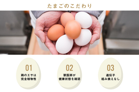 ココテラスの紅白たまご　35個 + 5個保証（計40個）【JGAP認証】 農家直送 新鮮 卵 タマゴ 赤卵 白卵 玉子 鶏卵 朝食 夕食 夜食 朝ごはん たまご焼き だし巻き卵 オムレツ 卵ご飯 料理 濃厚 飼料にこだわった 卵かけご飯 米たまご 生卵 大容量 お取り寄せ 愛知県 常滑市