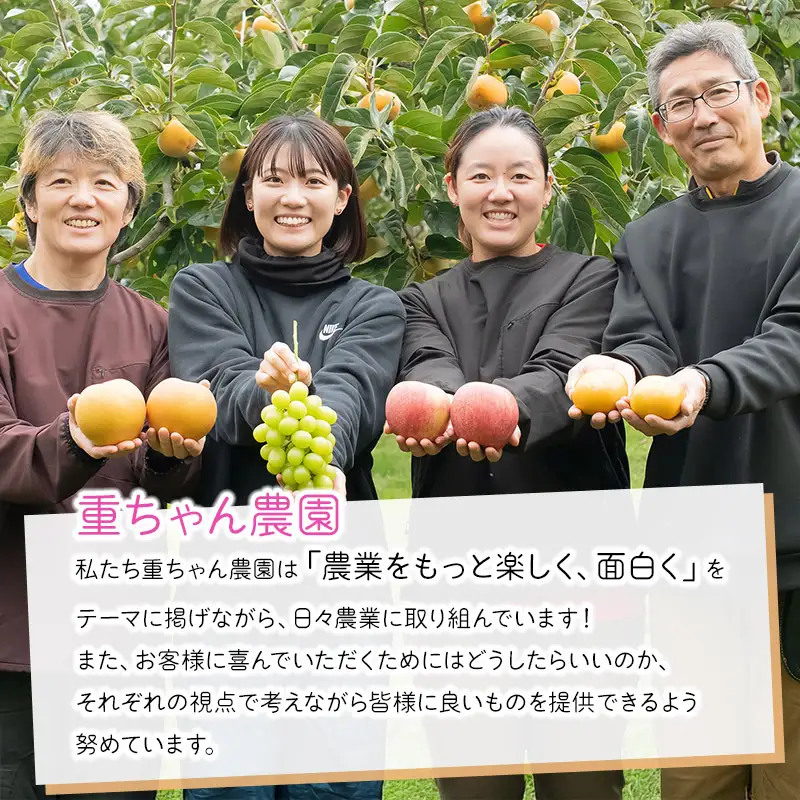 【令和8年産先行予約】 大人気 シャインマスカット　約1kg（ 2房 ） 山形県鶴岡産　重ちゃん農園