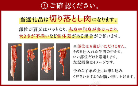 佐賀牛 切り落とし 1.1kg (600g+500g)  肉 牛肉 国産 冷凍 バラ 肩 化粧箱付き