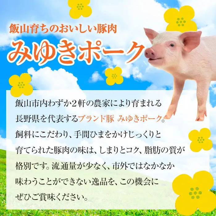 みゆきポーク 満喫 食べ尽くしセット （Ae-001） 焼肉 豚肉