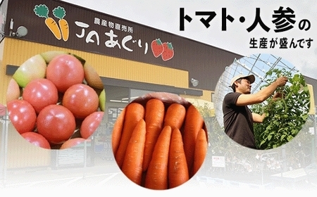 《JA小松市（隔月）野菜定期便６ヶ月》季節の野菜詰合せ 6ヶ月 定期便