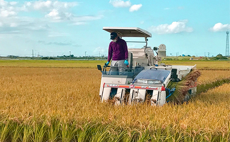 カガヤキ農園 新潟県産 特別栽培米 コシヒカリ 5kg 米 精米 白米 こめ コメ お米 おこめ こしひかり 新潟 新潟県特別栽培農産物認証取得 新潟県 