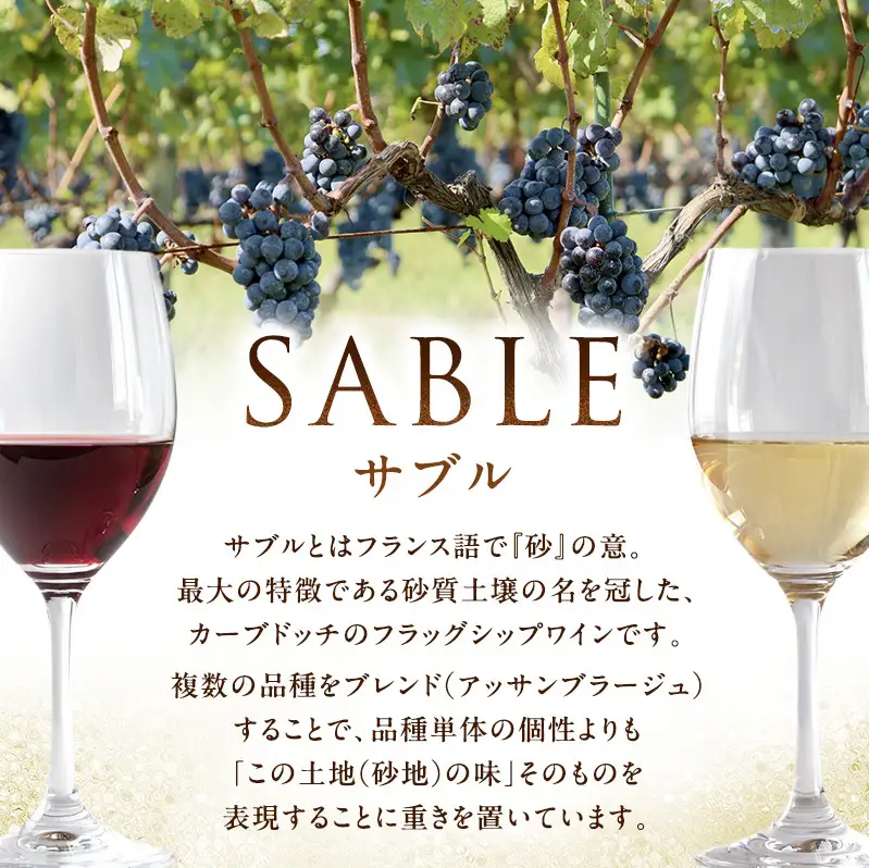 カーブドッチSABLE 赤白ワインセット 750ml×2本 ワイン 赤ワイン 白ワイン セット 750ml 赤 白 カーブドッチ SABLE お酒 酒 アルコール 新潟 