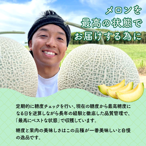 太田農園メロン“GIFT”赤肉メロン＆青肉メロンセット（各2玉ずつ） メロン セット 糖度 赤肉 青肉  高級 果物 フルーツ おやつ デザート 新潟 夏フルーツ 