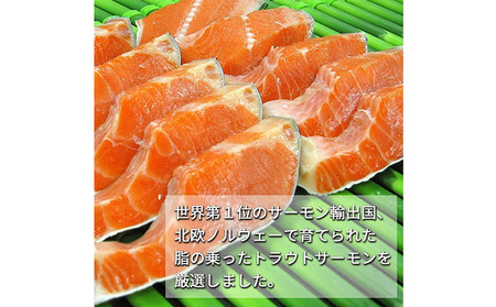 甘塩トラウトサーモン 10切 鮭 さけ サケ しゃけ シャケ サーモン トラウトサーモン 塩鮭 切り身 魚 海産物 魚介 魚介類 惣菜 おかず ごはんのお供 朝ごはん お弁当 冷凍 新潟 