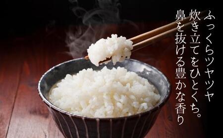 堆肥で育てた 新潟産 こしひかり 5kg コシヒカリ 米 お米 こめ コメ 白米 精米 減農薬 産地直送 新潟県産 新潟県 新潟 