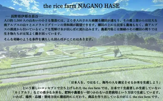 米 玄米 令和6年産 【幻の玄米】 自然栽培 カミアカリ 玄米 1kg  【009-08】