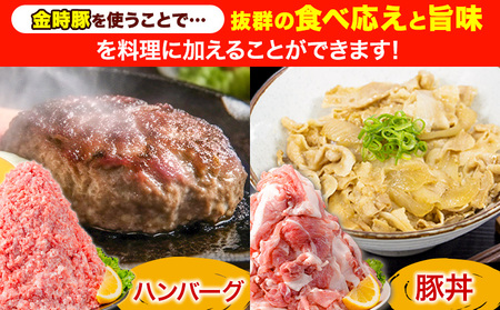 ＜阿波の金時豚＞切り落とし＋ミンチ 2.7kg 豚肉