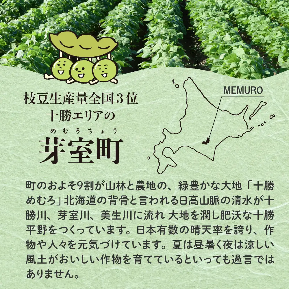 【選べる内容量】十勝めむろ 業務用 えだまめ 1袋 500g × 20袋 枝豆 冷凍 10kg 大容量 たっぷり ビール おつまみ 送料無料 特産品 お手軽 お酒 おかず 弁当 時短 ずんだ 晩酌 北海道 十勝 芽室町me003-081c